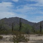 才能が咲く場所